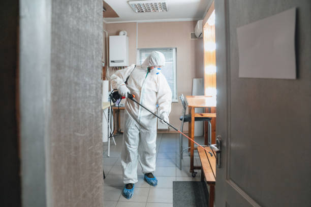 Mold Odor Removal Services in Boiling Springs, PA